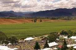 Marlborough Wine & Food Festival