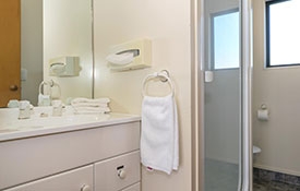 1-bedroom bathroom with shower